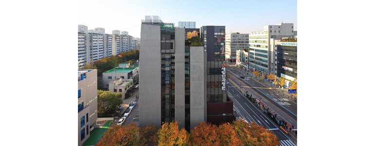 고양 일산동구 안과