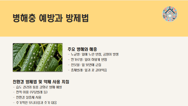 오이 재배 법