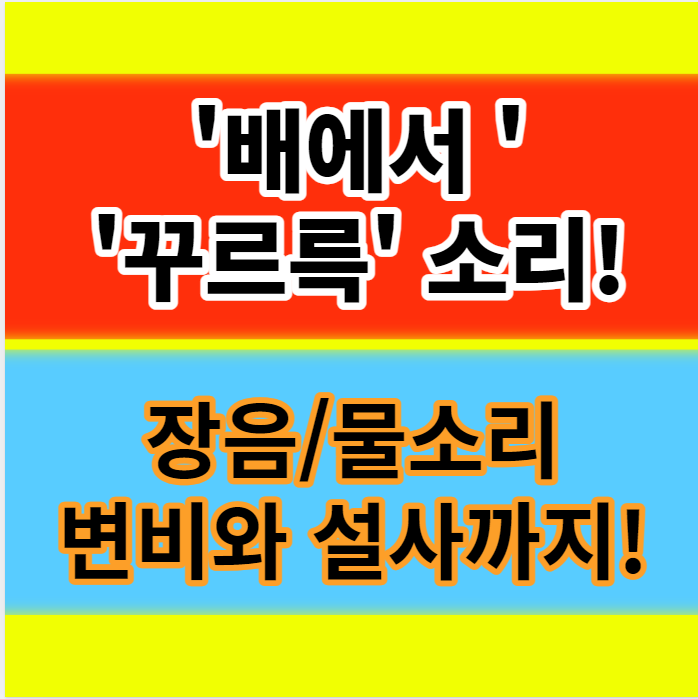  배에서 꾸르륵 소리가 나는 이유(장음) 부글부글 물소리 설사까지 알기