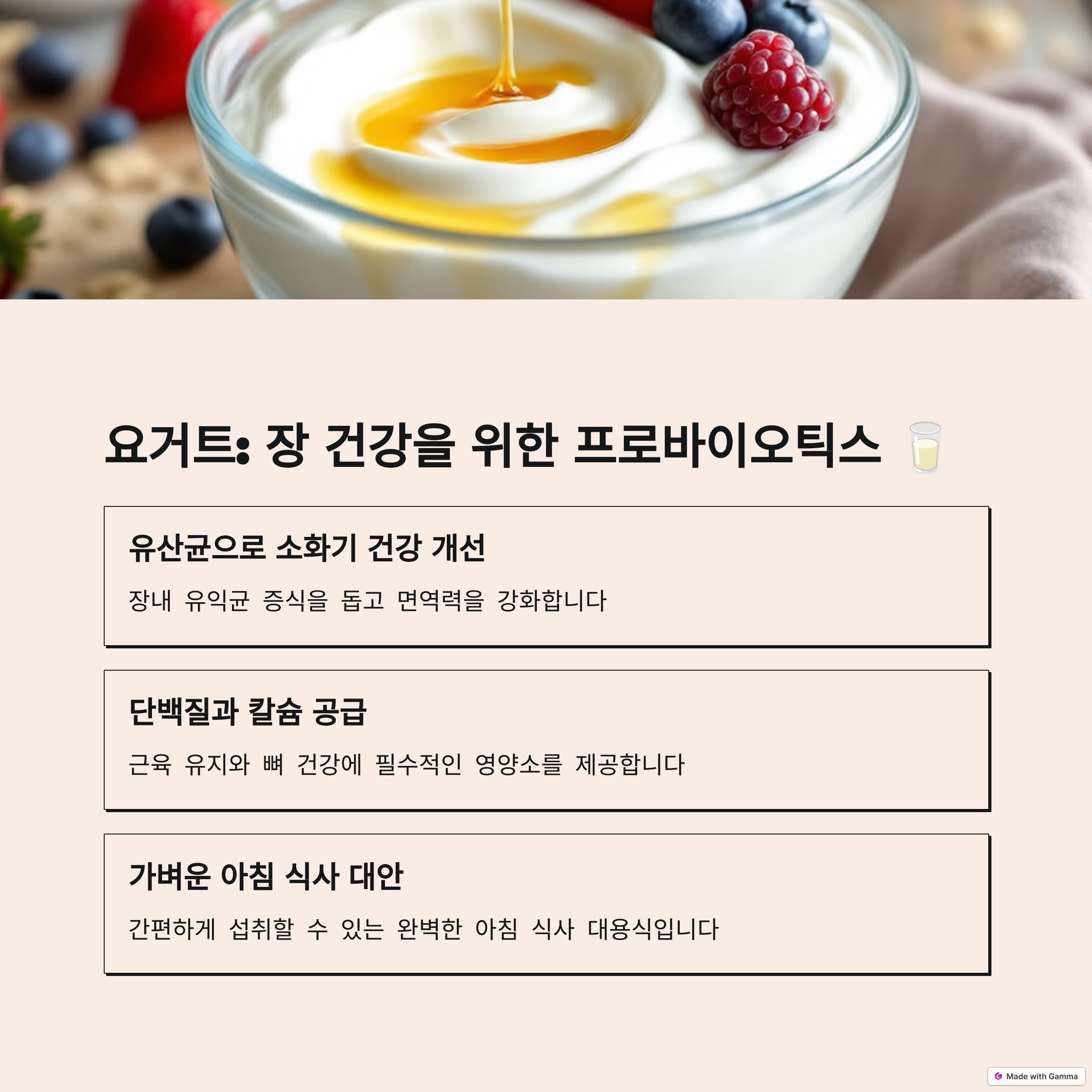 요거트