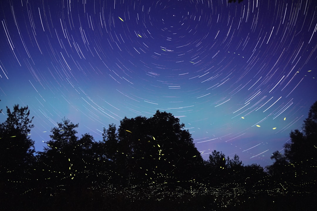 Firefly