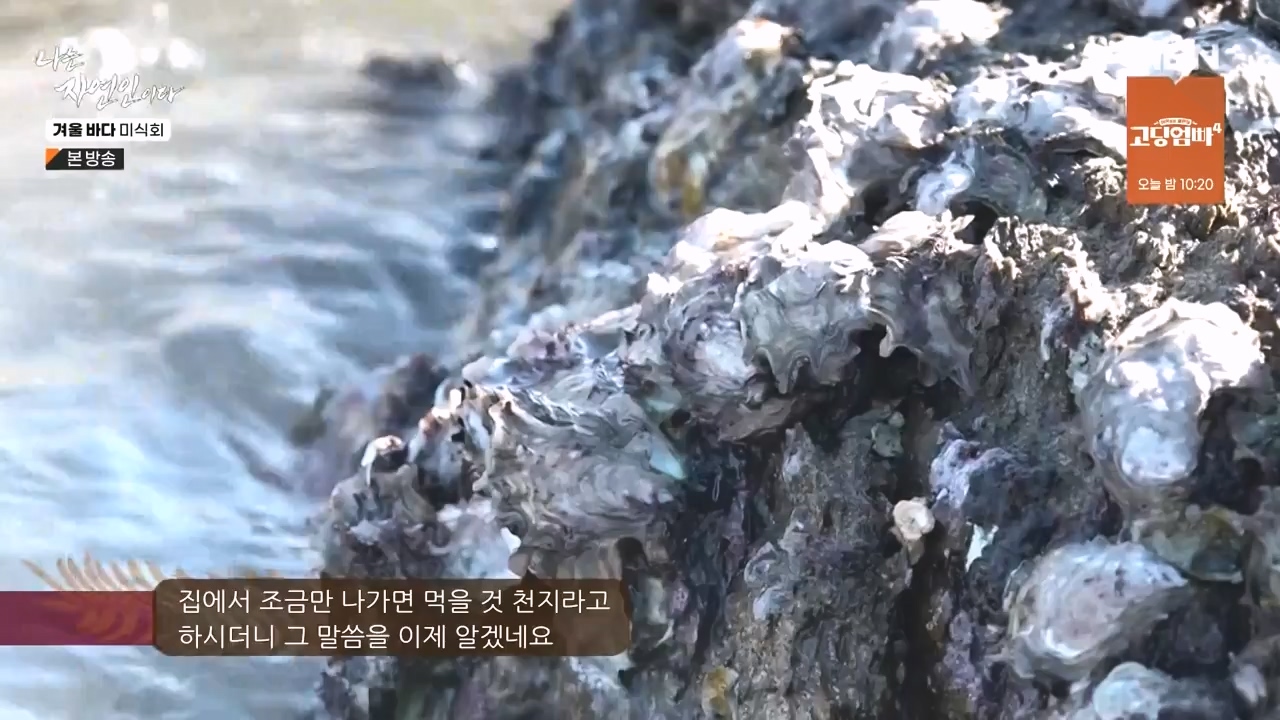 나는 자연인이다.E584.231214p-NEXT.mp4_20231214_194919.282.jpg