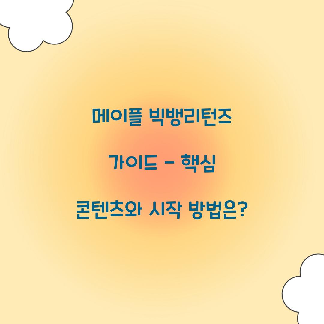 메이플 빅뱅리턴즈 가이드
