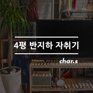  식물과 함께하는 4평 반지하 자취기_ 시-작!
