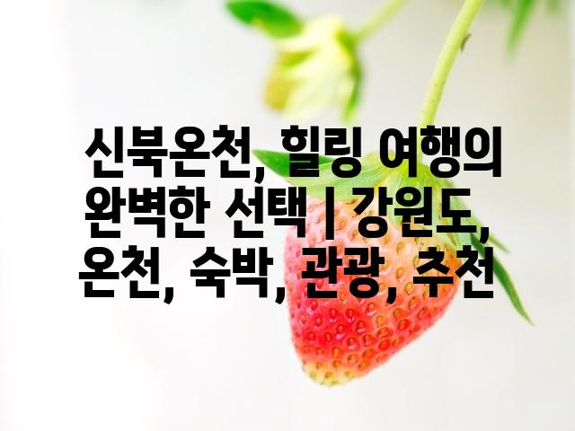 랜덤223