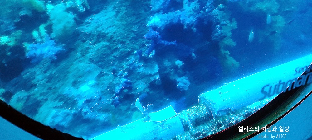 제주 서귀포 잠수함 계절상관없이 아름다운 제주 바다를 깊게! 제주 서귀포 가볼만한곳