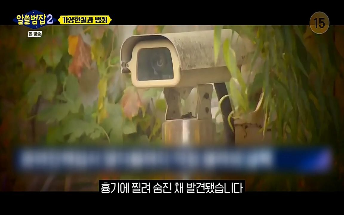 알쓸범잡 2.E16.220502p-NEXT.mp4_20220502_174808.002.jpg