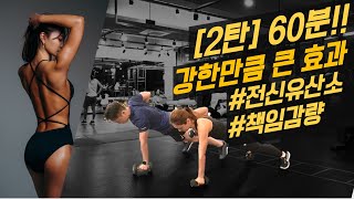  60분 전신 운동루틴, 홈트레이닝, 유튜브 무료강좌 - 총 24 강