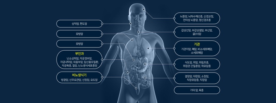 다나은요양병원 이미지