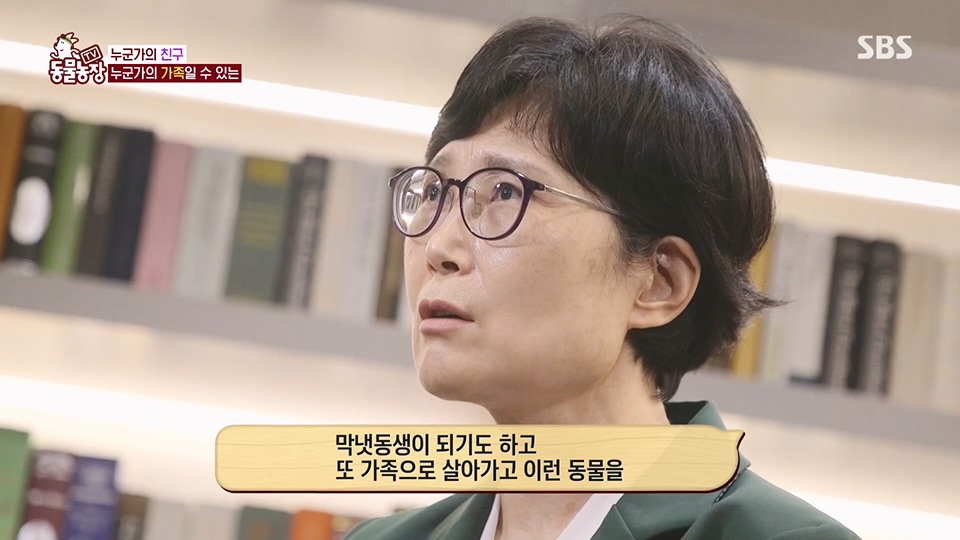 TV 동물농장.E1129.230716p.H264-F1RST.mp4_20230716_183647.404.jpg