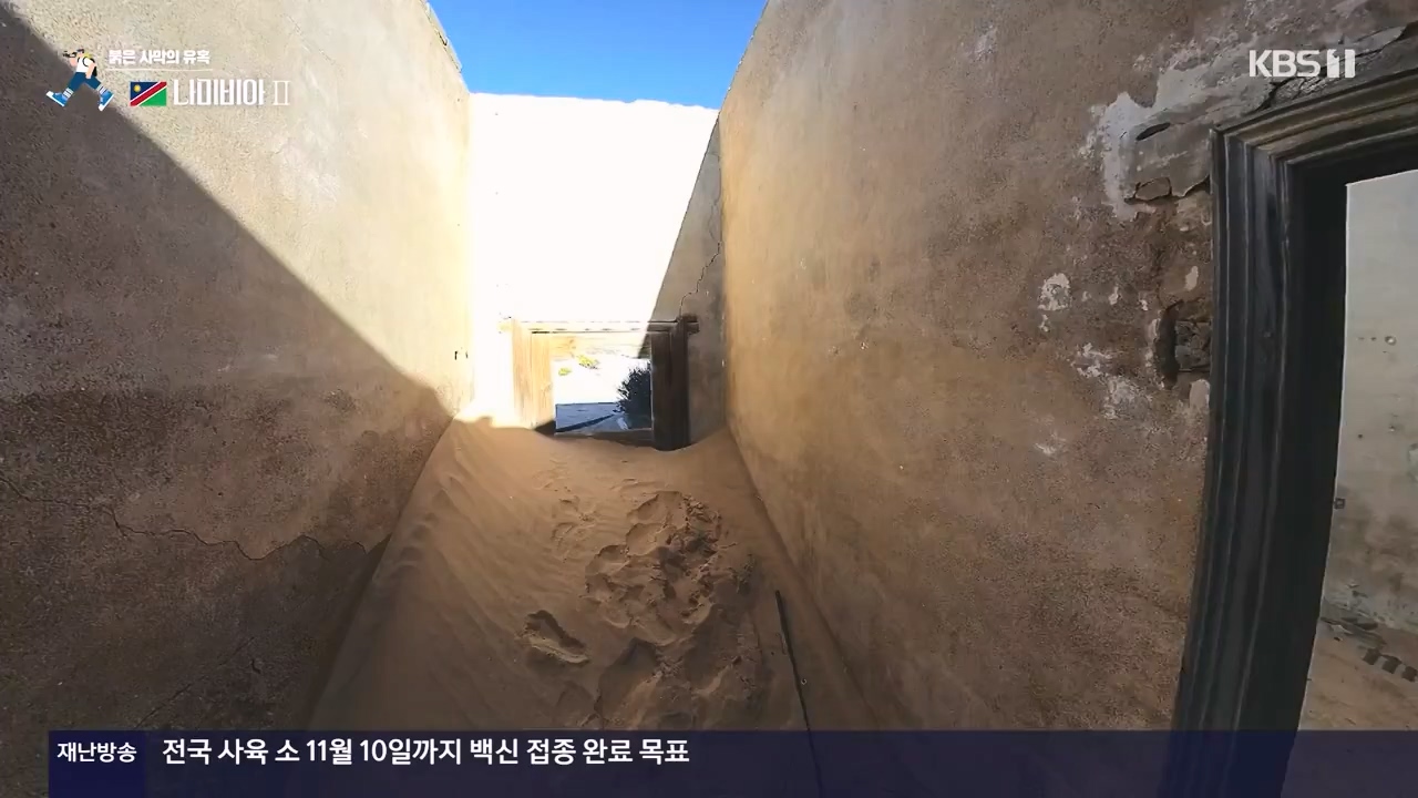 걸어서 세계속으로.E816.231105p-NEXT.mp4_20231104_175447.012.jpg