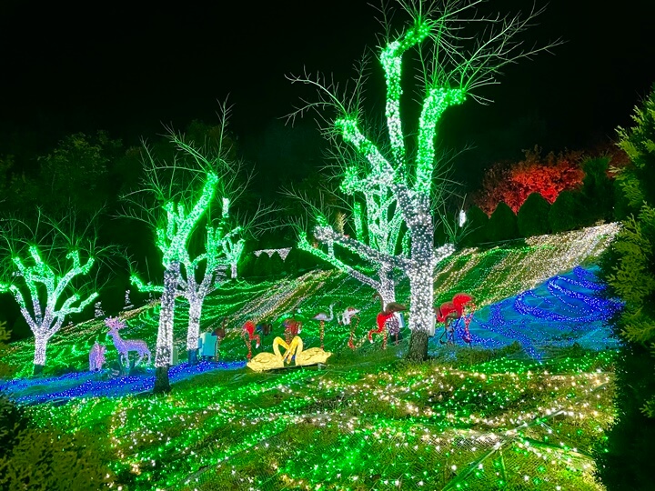 청도-프로방스-크리스마스-산타마을-빛축제