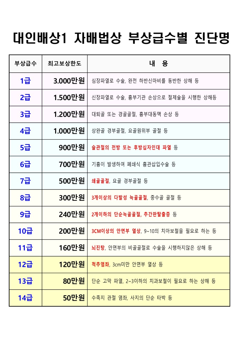 부상 정도에 따른 개인 보상 1진단 1