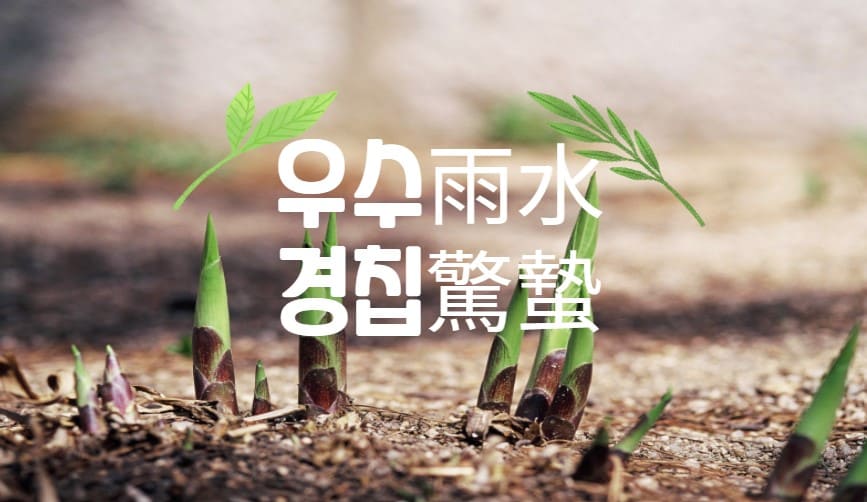  24절기 우수雨水와 경칩驚蟄 무엇일까?