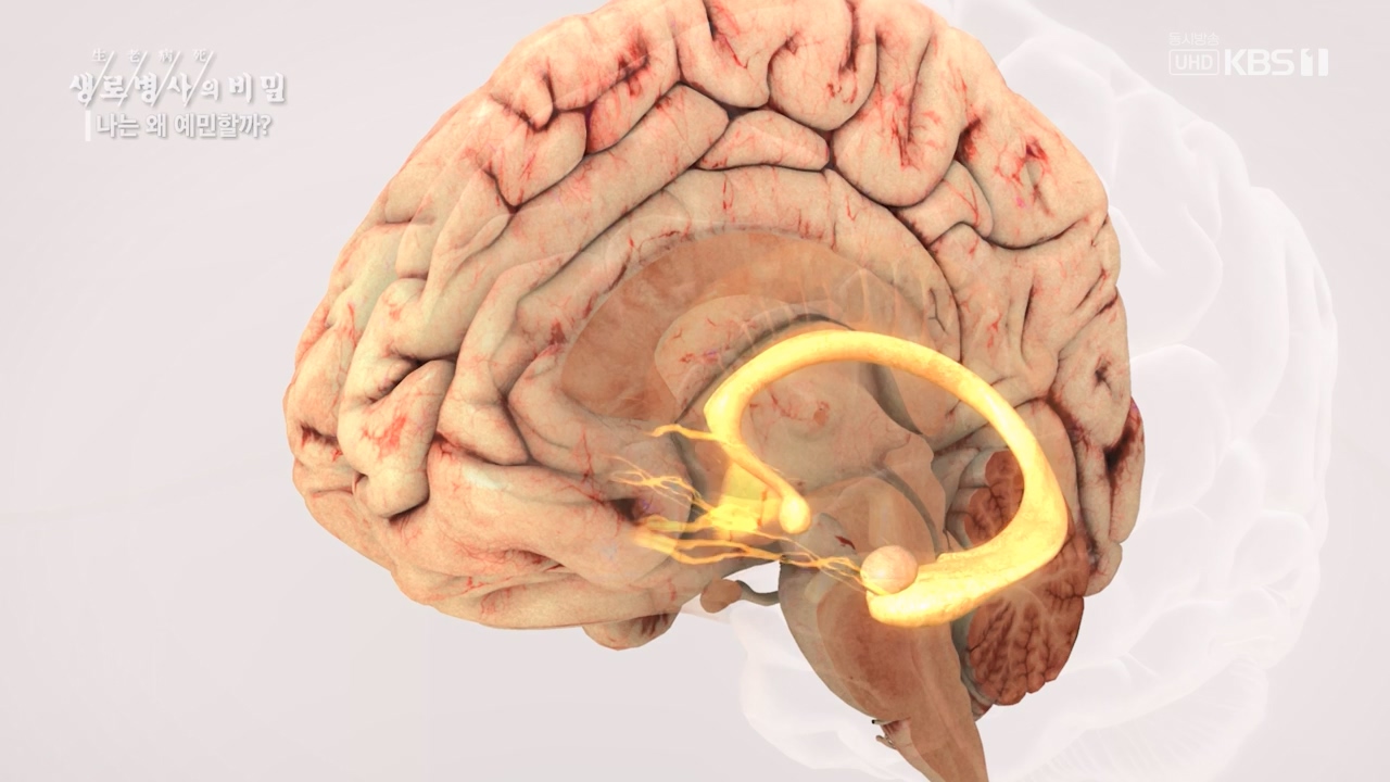 생로병사의 비밀.E879.230817p-NEXT.mp4_20230817_205229.602.jpg