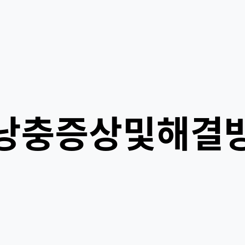 모낭충증상및해결방법