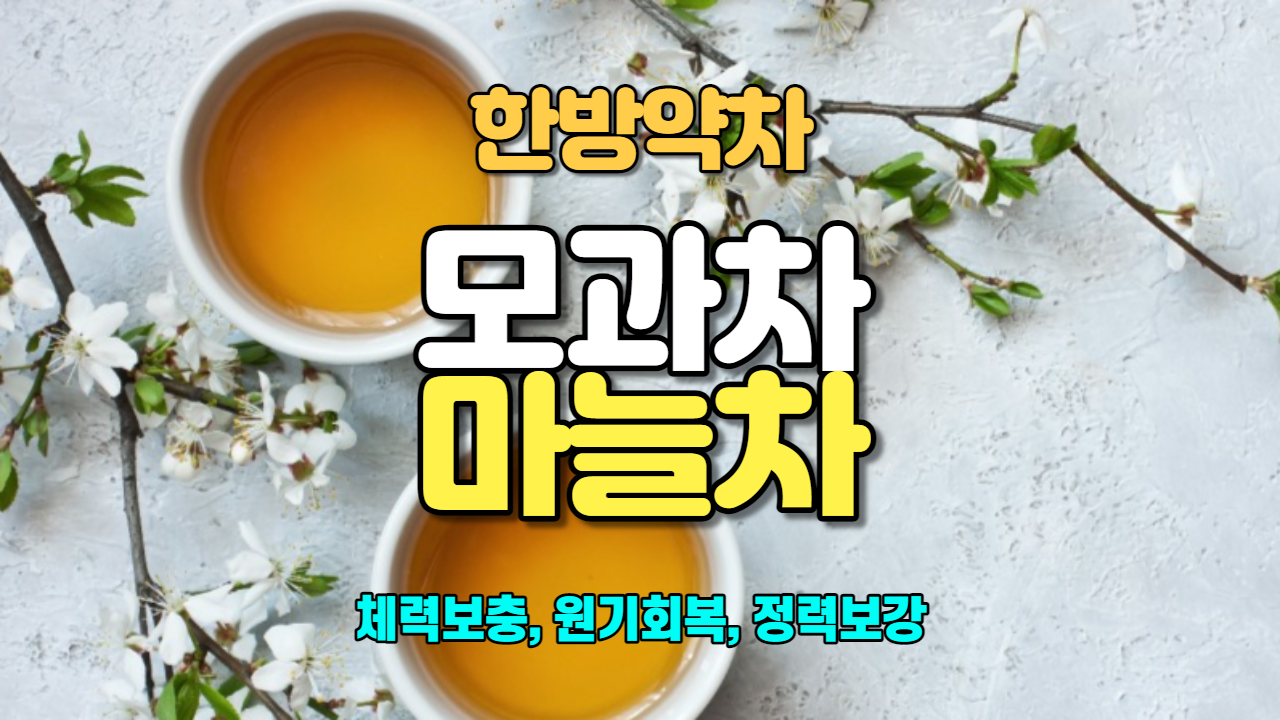 모고차 / 마늘차