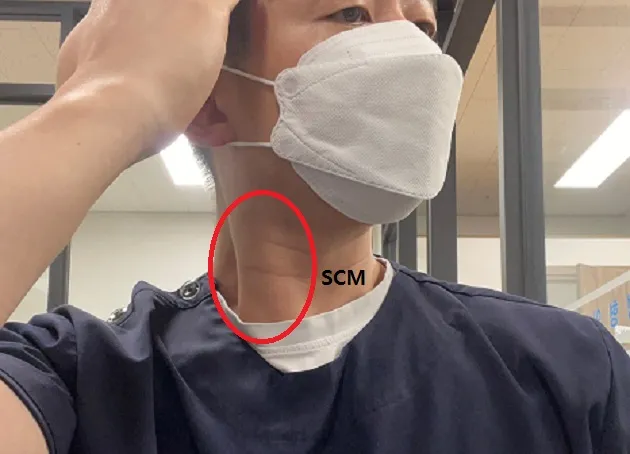 목빗근찾기