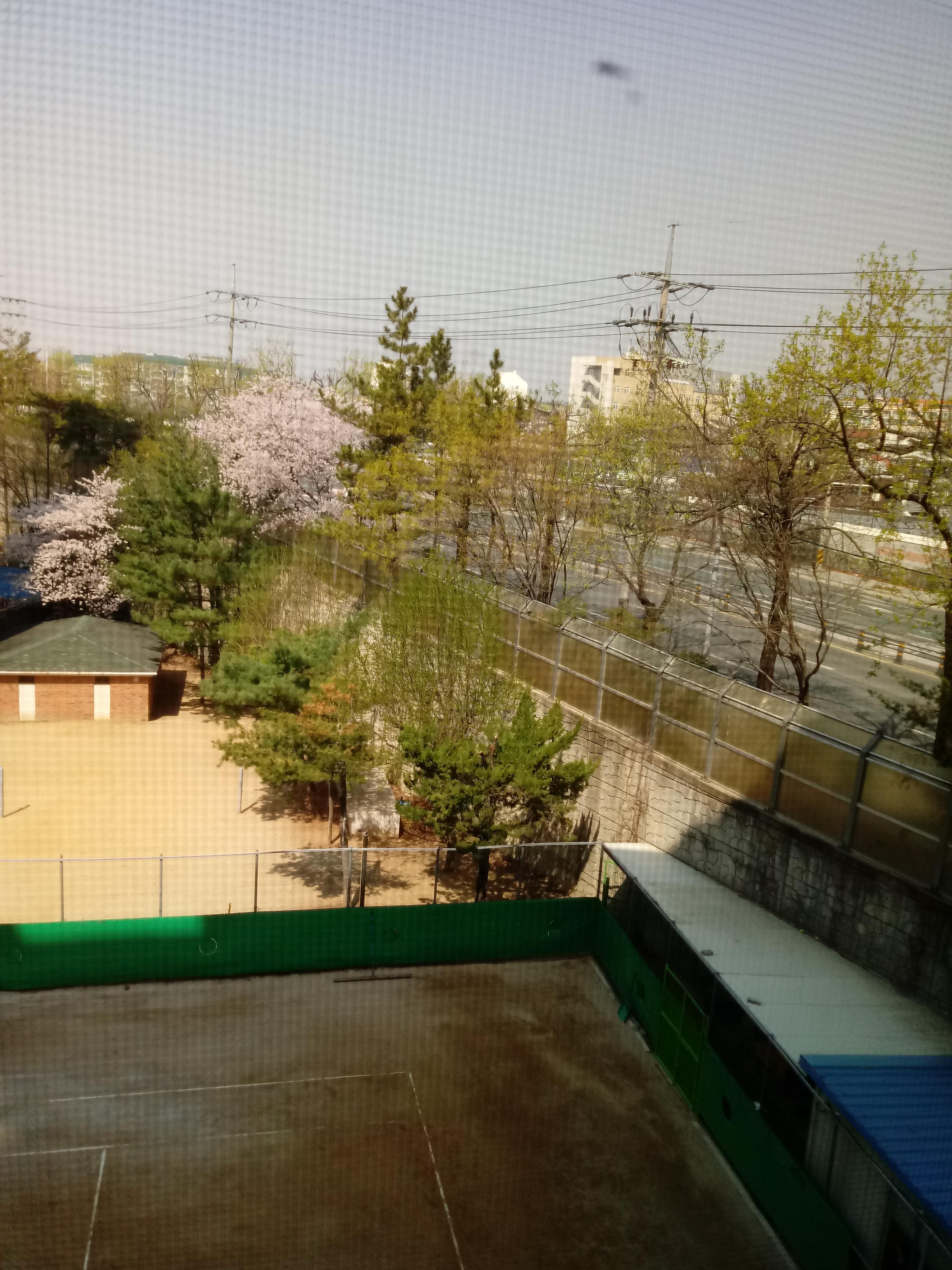 어제까지 담배를 안 피웠는데... 3