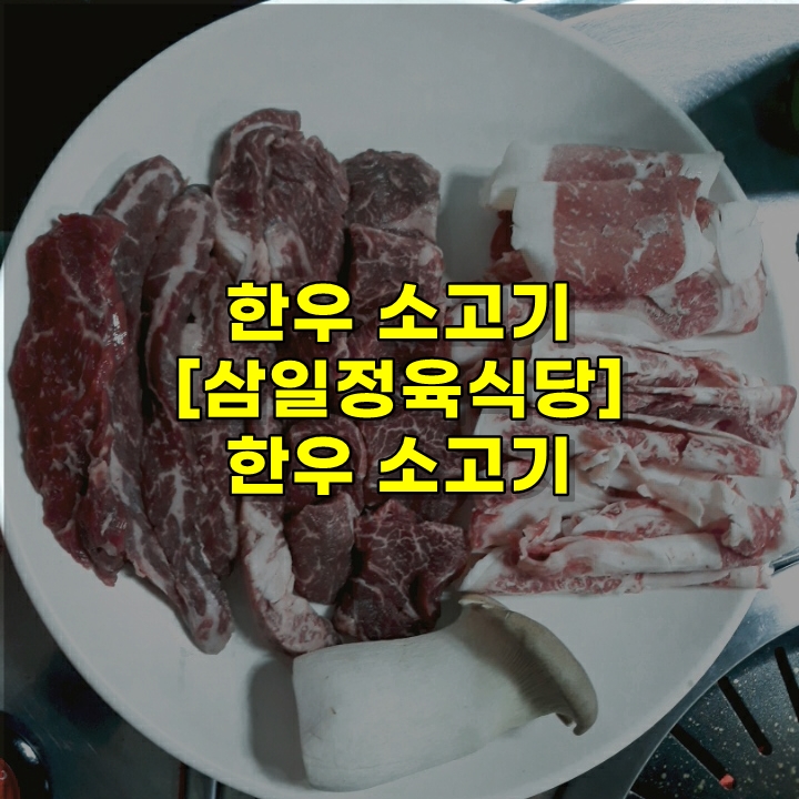  의왕 맛집 한우 소고기 전문점 [삼일정육식당] 리뷰~