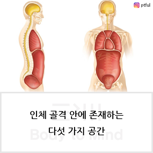  인체 골격(skeleton) 안에 존재하는 다섯 가지 공간(space)