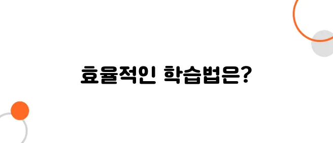 일본어 공부 순서 – 한자, 문법, 회화 중 어디부터?