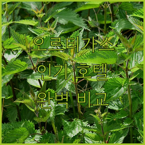 마닐라 여행 최적의 선택 오르티가스 
