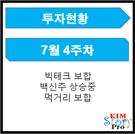  투자현황 - 7월 4주차