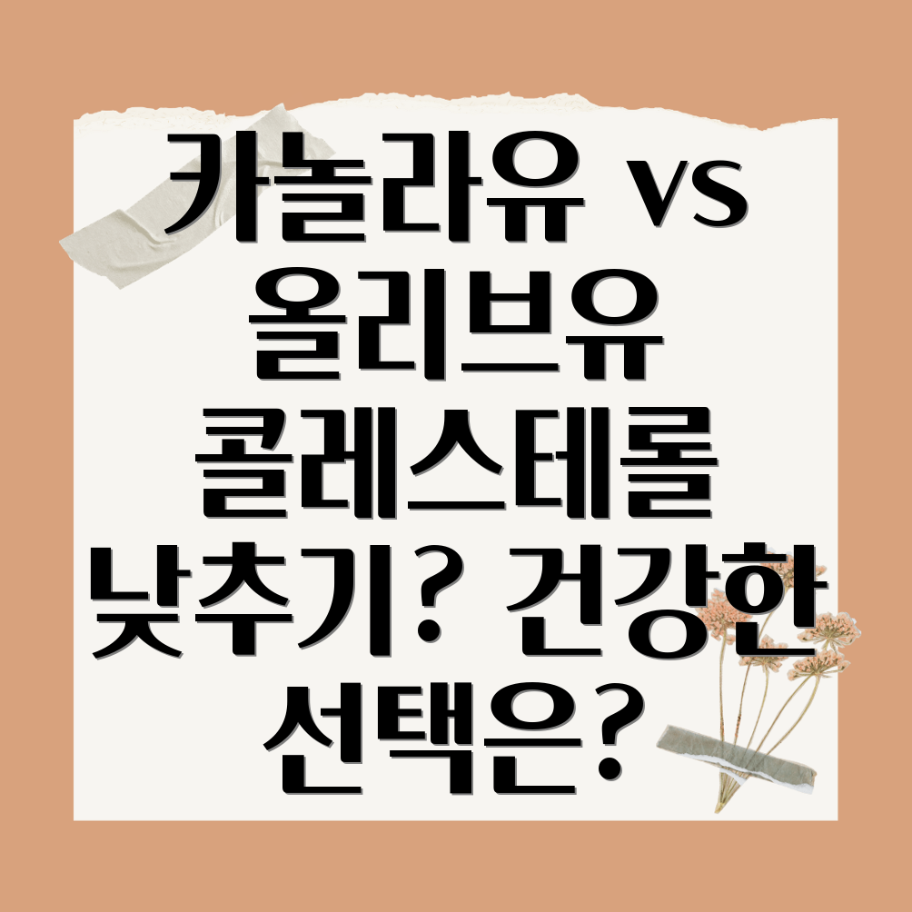 콜레스테롤 감소