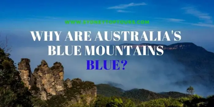 블루 마운틴(Blue Mountains)