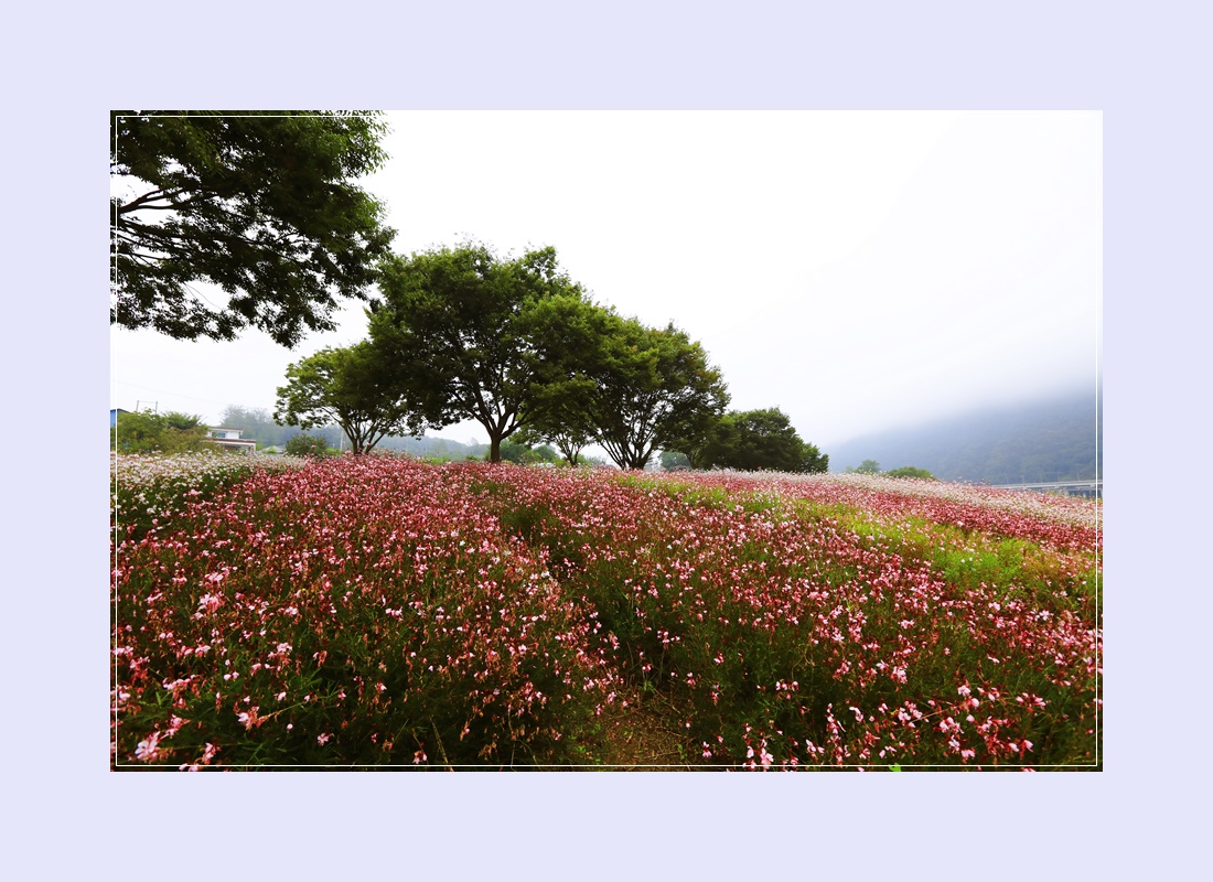 도담행복마을 이미지