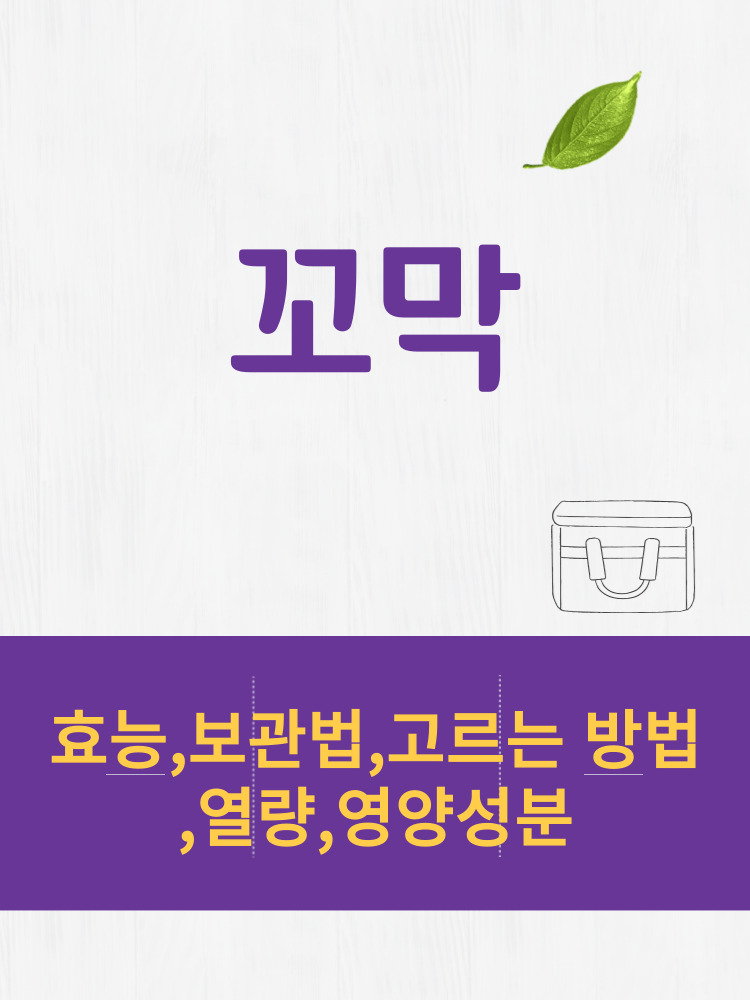  꼬막 효능 및 열량과 보관법 칼로리 총정리 