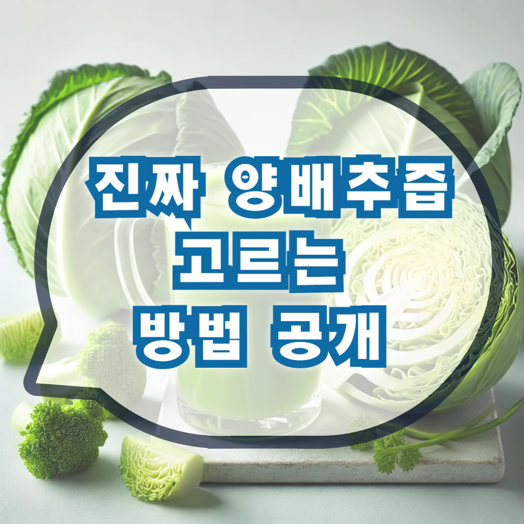 양배추즙의 효능과 복용방법