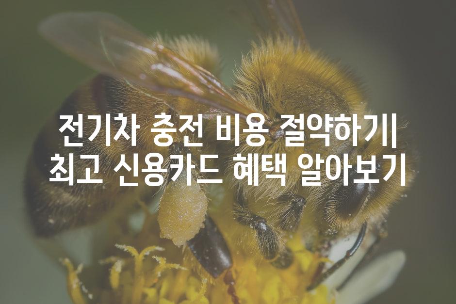 API 할당량 초과 오류 1