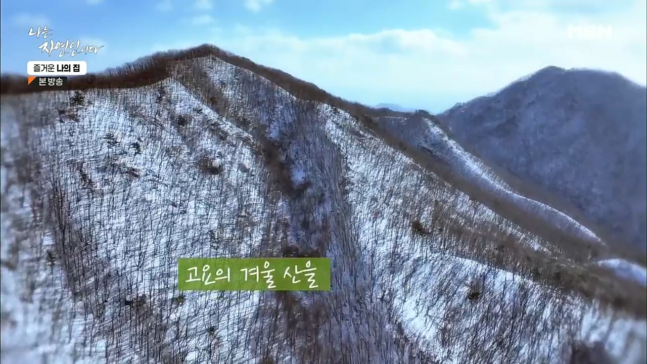 나는 자연인이다.E535.230105p.H264-F1RST.mp4_20230106_203949.566.jpg