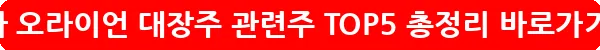 메타 오라이언 대장주 관련주 TOP5 총정리_26