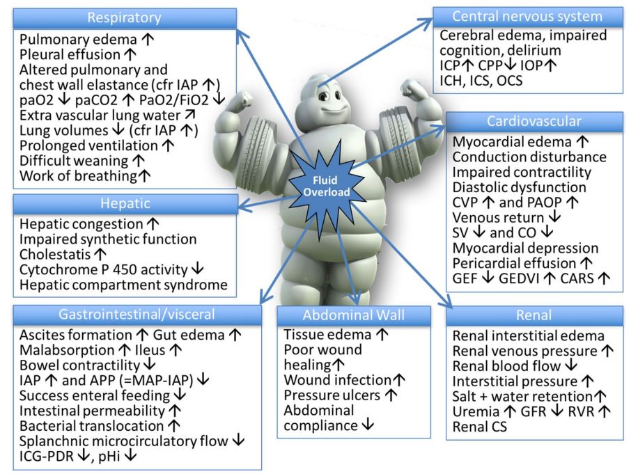 Balanced crystalloid vs normal saline vs colloid: main fluid, resuscitation - 🙄 Resuscitation volume의 적정 용량, fluid의 PK data - 2. Annals of intensive care 8.1 (2018): 1-16. Balanced crystalloid vs normal saline vs colloid: main fluid, resuscitation - 🙄 Resuscitation volume의 적정 용량, fluid의 PK data - 2. Annals of intensive care 8.1 (2018): 1-16.