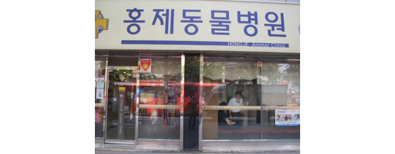 서울 서대문구 동물병원