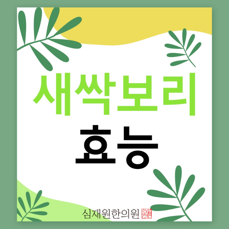  새싹보리 분말 효능 이런걸 먹어야 합니다