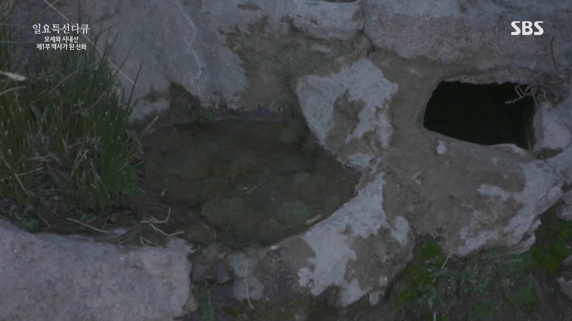 일요 특선 다큐멘터리.E342.240331p.H264-F1RST.mp4_20240406_165314.186.jpg