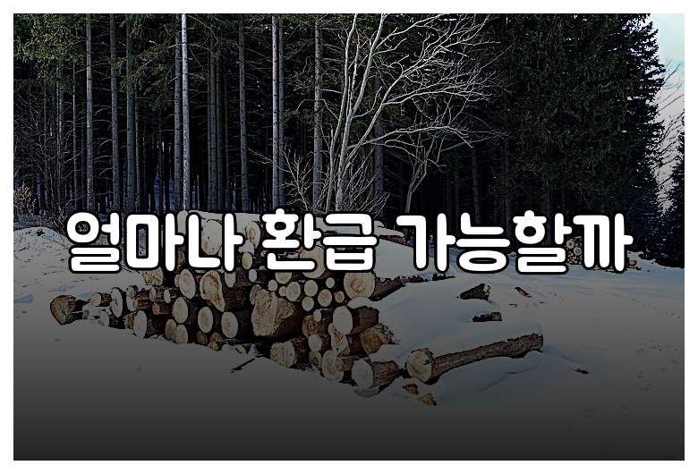 얼마나 환급 가능할까