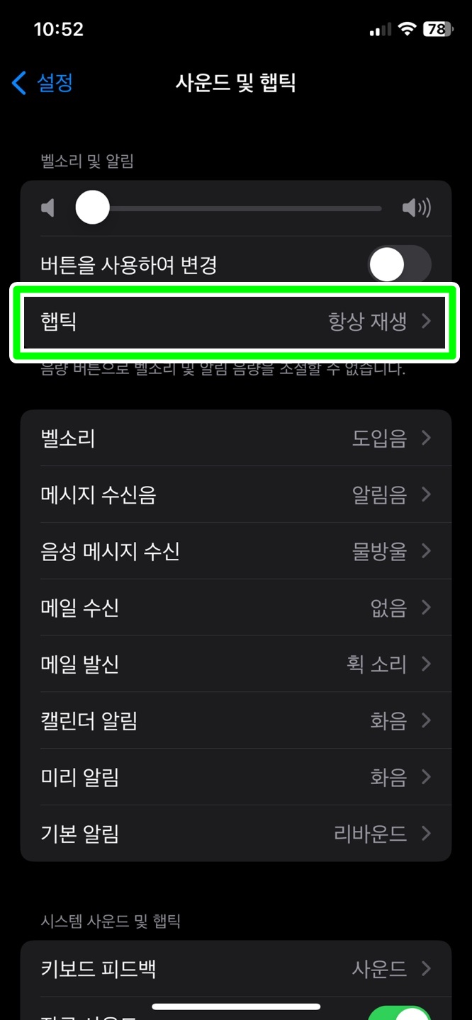 햅틱 설정