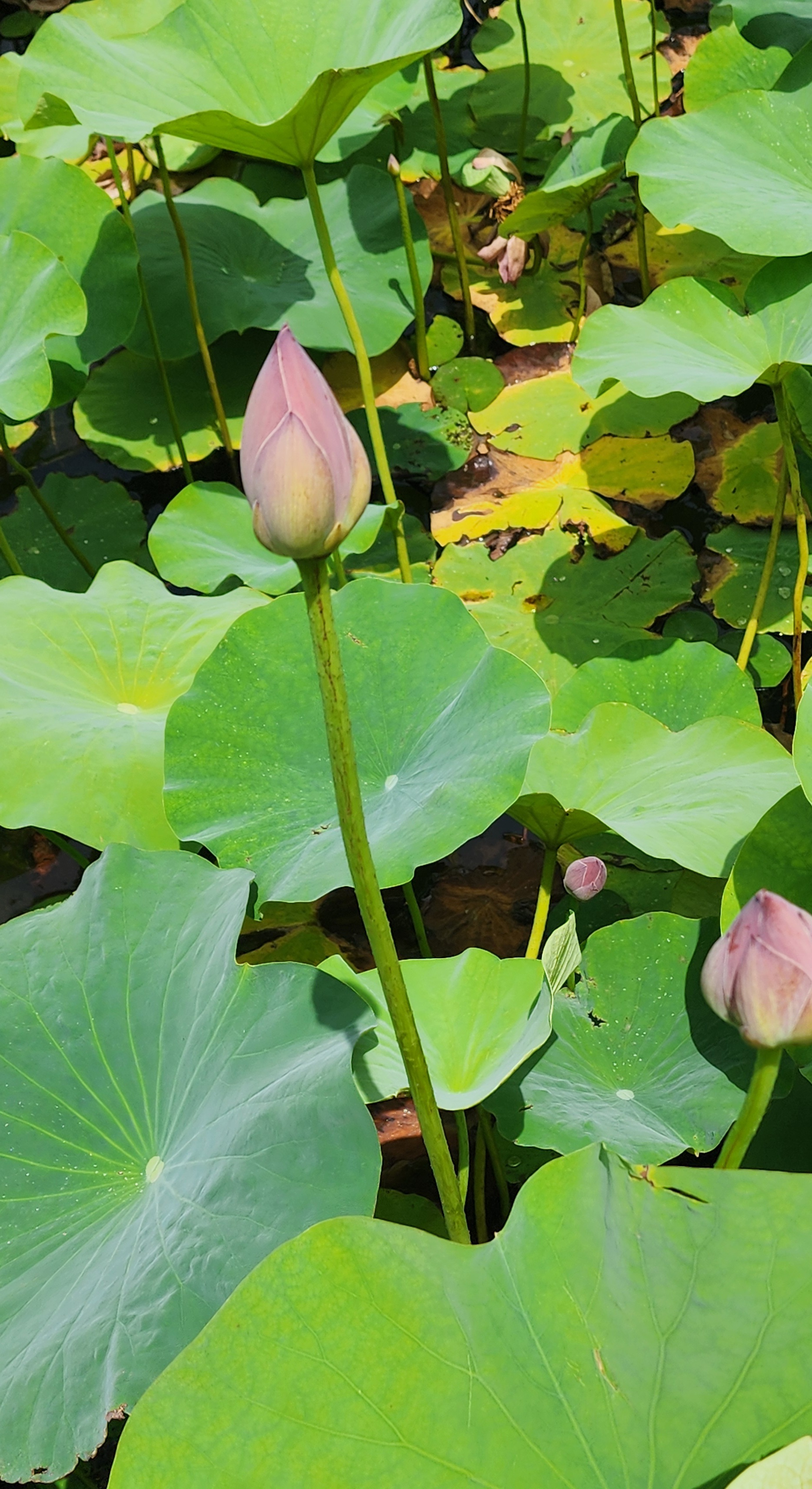 오천 이미지