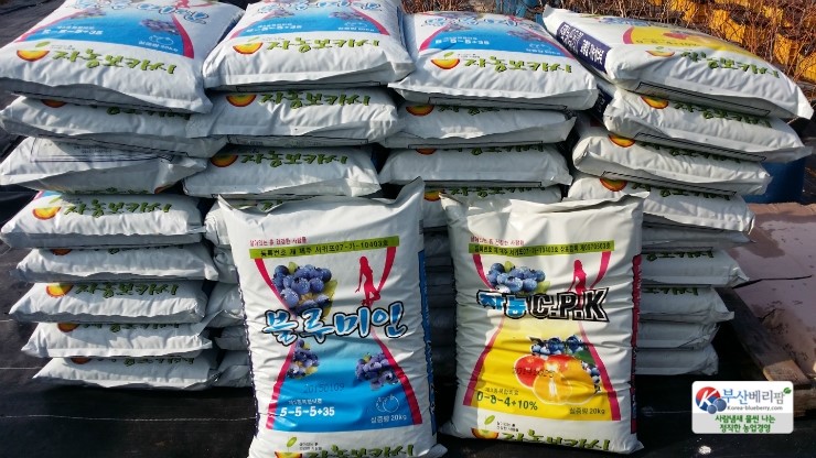 공동구매 알림 [부산베리팜] [공지] [2022년도] 블루미인*자농CPK 5