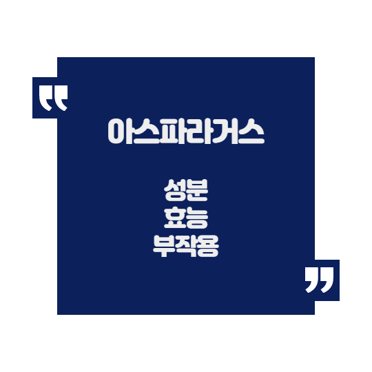  아스파라거스 고르는 법 효능 성분 부작용 정리