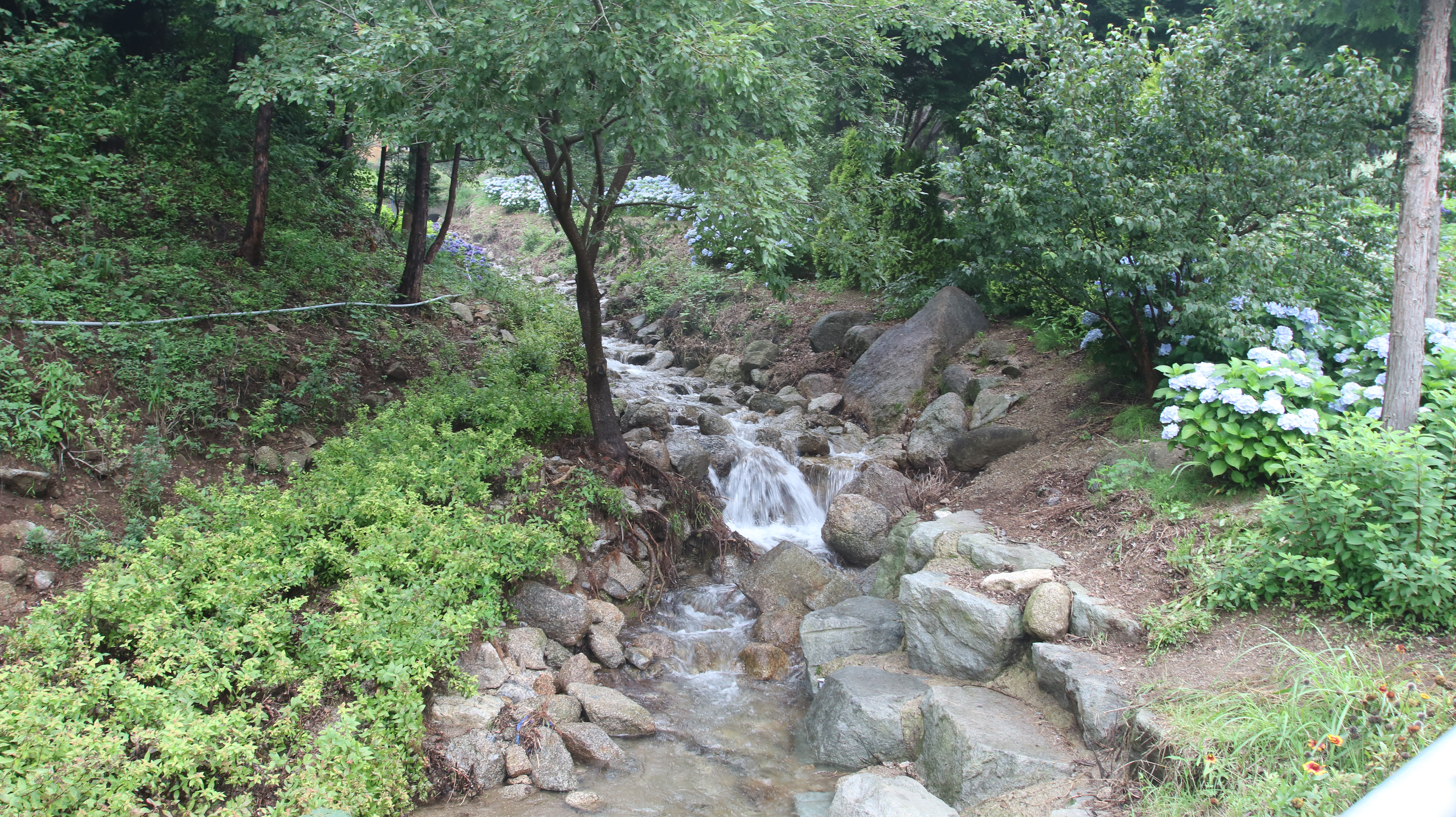 시냇물