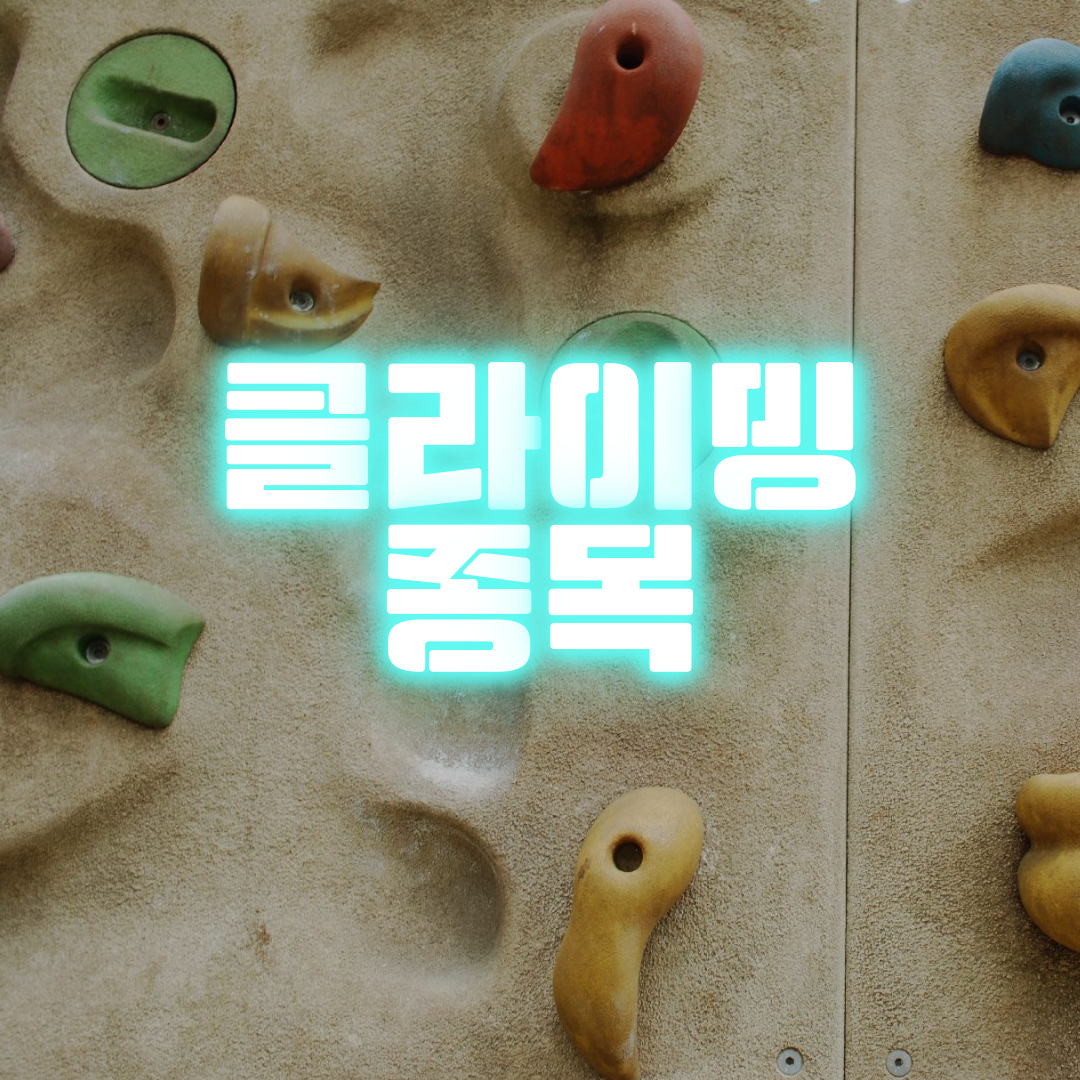  스포츠 클라이밍 종목