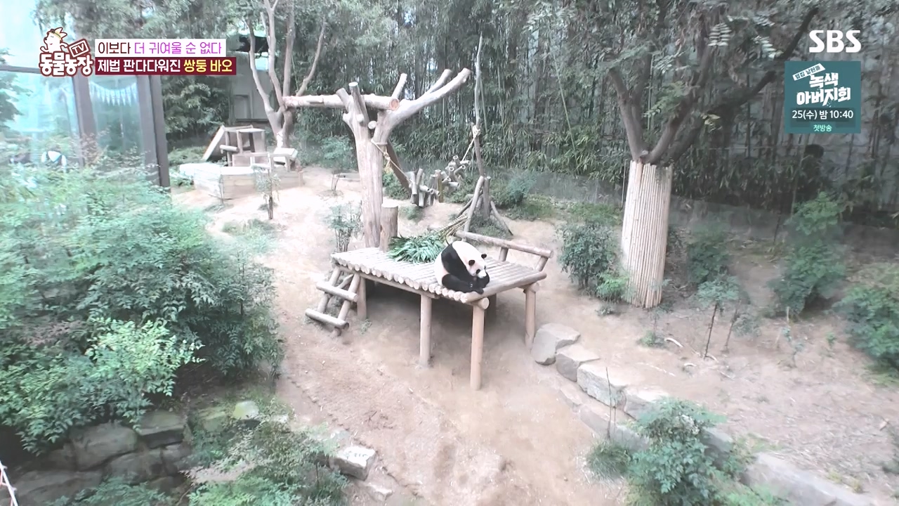 TV 동물농장.E1142.231023p-NEXT.mp4_20231022_173950.359.jpg