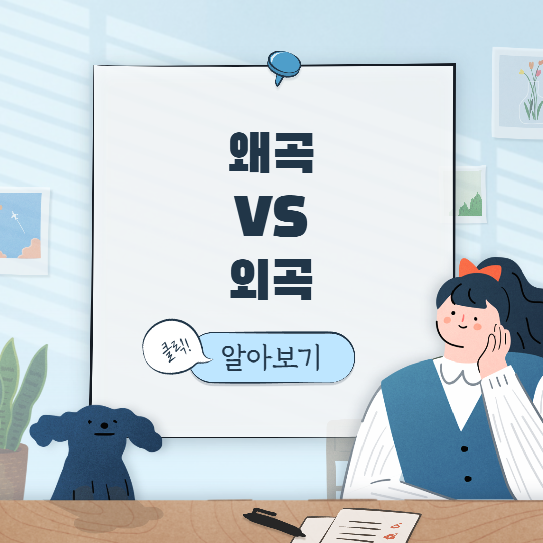  왜곡 vs 외곡 뜻 차이와 예시로 쉽게 알아보기!!
