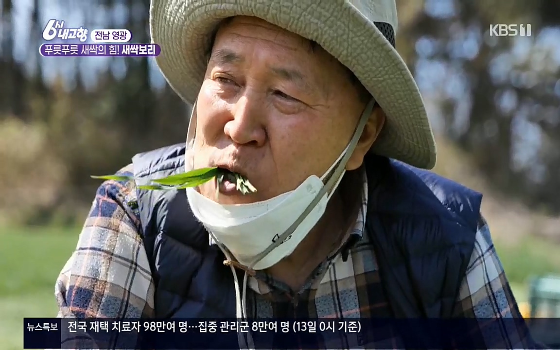 6시 내고향.E7510.220414p.H264-F1RST.mp4_20220419_182552.573.jpg